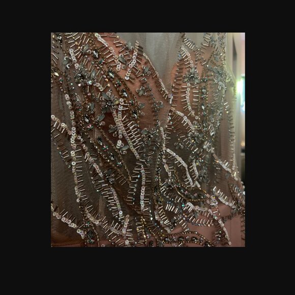 NEW TERANI COUTURE high low blush gown in blush - Picture 7 of 7